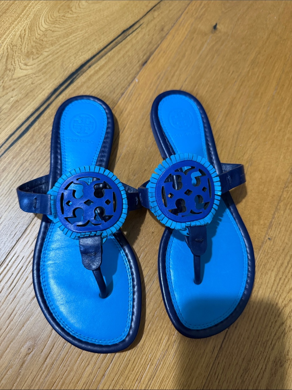 Tory Burch Bright Blue and Navy Logo Thong Sandals